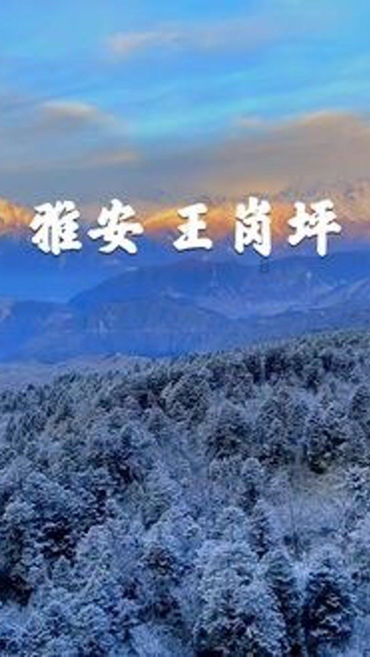 苹果手机想更换微信提示声音怎么弄？游戏画面