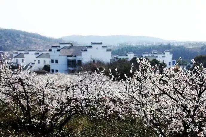 追云者编年史