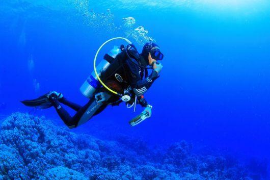 了解臭氧层是地球上人类和其他生物的“保护伞”吗?平台,发现更多知识星球的乐趣
